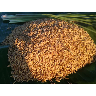 กระสอบอาหารไก่น้ำดำ ไบโอลีน 100ml /20 ml เลือกได้ เขียวเหลือง อาหารไก่ชน มีธัญพืช มิลเล็ต