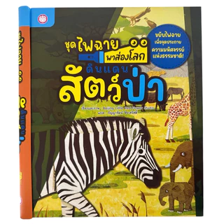หนังสือไฟฉายส่องโลก หนังสืออ่านสำหรับเด็กเสริมพัฒนาการ หนังสือไฟฉาย​ หนังสือกิจกรรมพร้อมภาพประกอบ​ ปกแข็ง