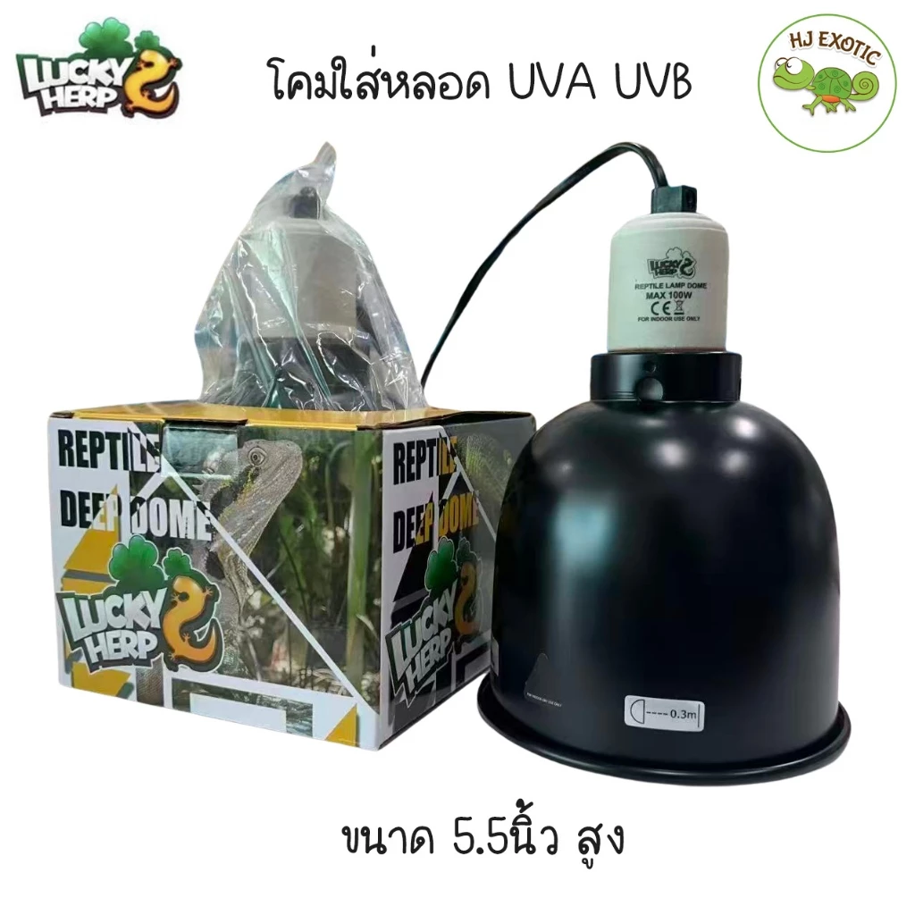 Lucky Herp โคมไฟขั้วเซรามิค ขนาด 5.5 นิ้วทรงสูง สำหรับuvb/uva ฟรีหูแขวนโคม กำลังไฟสูงสุด 100 W