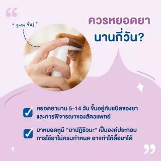 Virbac น้ำยาทำความสะอาดหู สูตรลดยีสต์ ขจัดกลิ่น และไรหู สำหรับสุนัข แมว