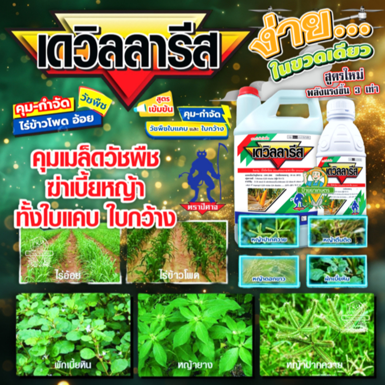 เดวิลลารีส 1 ลิตร 4 ลิตร มีโซไตรโอน+อะทราซีน ใช้แบบ เมอร์เทคท์ คาลลารีส ฆ่า-คุม หญ้าใบแคบและใบกว้าง