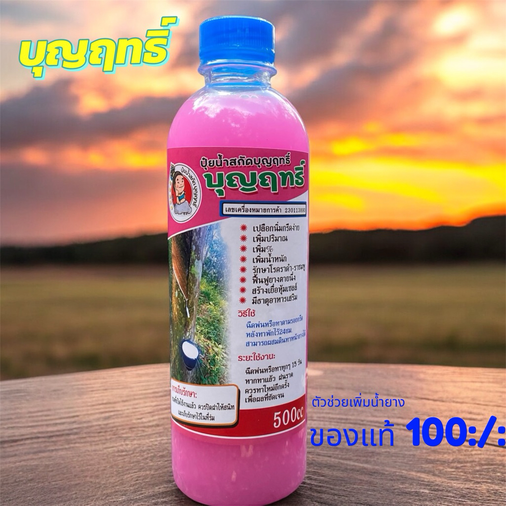 บุญฤทธิ์ 1 ขวด บุญญฤทธิ์ ยาทาหน้ายาง ของแท้100:/: บำรุงหน้ายางปลอดสารเร่ง