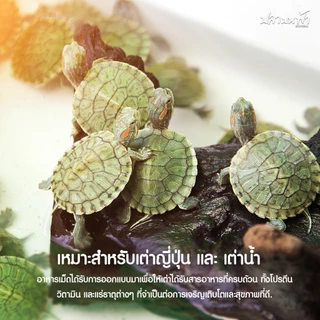 อาหารเต่า Tokyu Turtle food ขนาด 80 กรัม และ 300 กรัม เหมาะสำหรับเต่า อุดมด้วยแร่ธาตุ วิตามิน และแคลเซียม