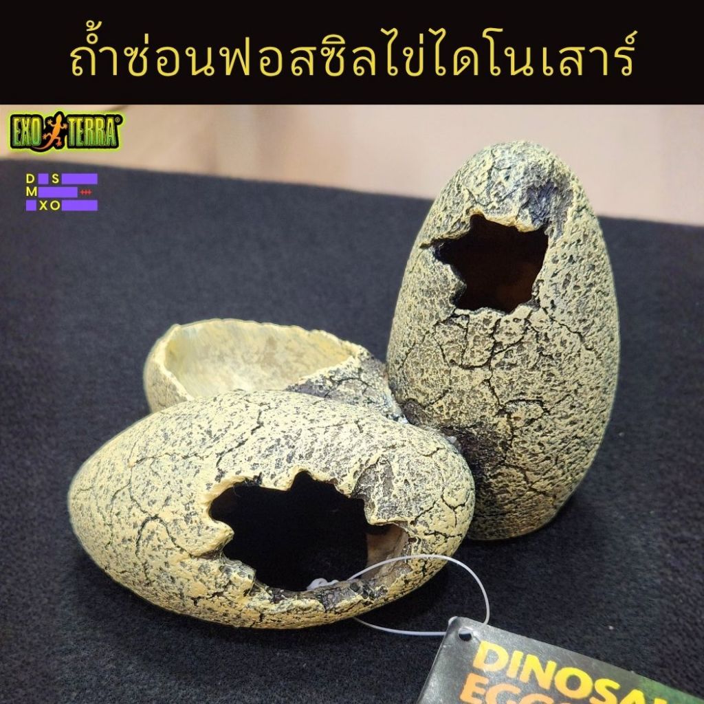 [ส่งด่วน] Exo Terra Dinosaur Eggs ที่ซ่อนฟอสซิลไข่ไดโนเสาร์ พร้อมถ้วยน้ำ สำหรับสัตว์เลื้อยคลาน งู