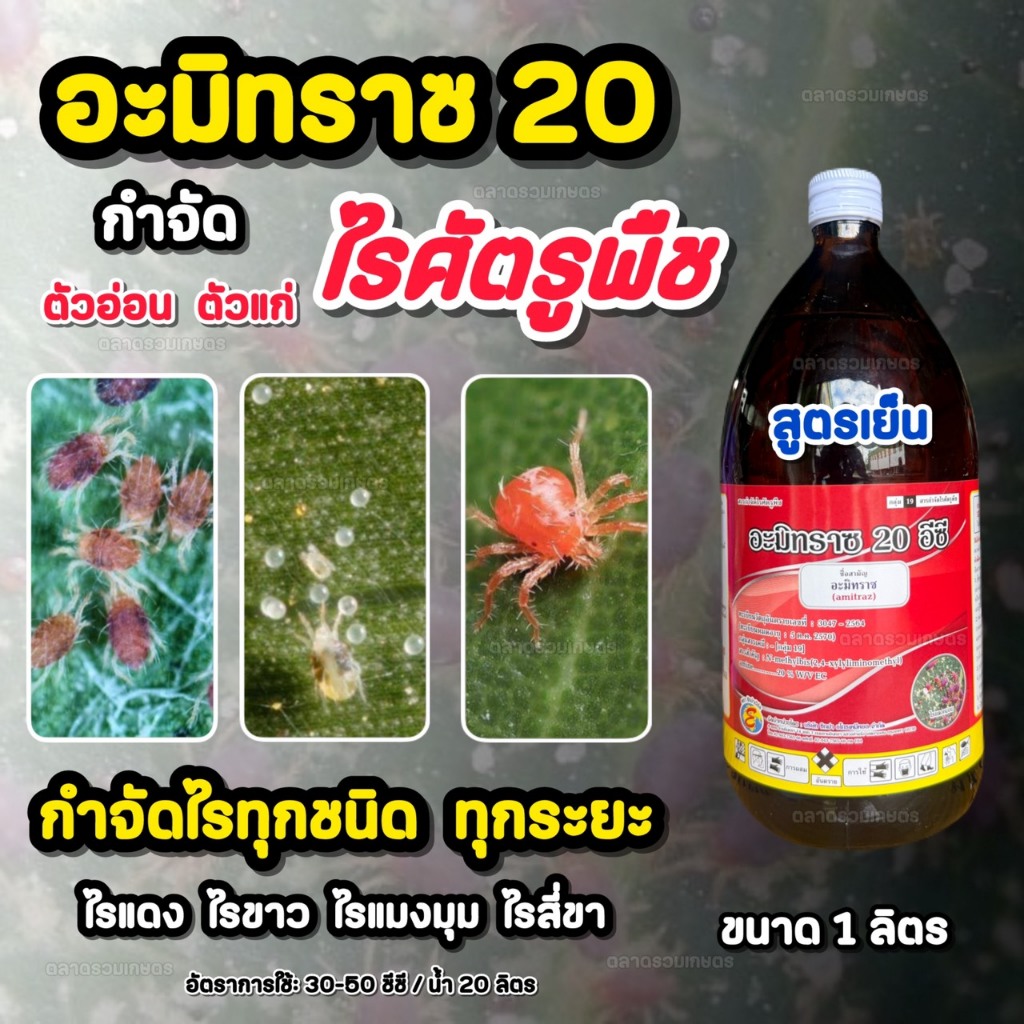 กำจัดไรแดง ไรแดง อะมิทราซ 1ลิตร  ใช้ป้องกันกำจัดไร สารกำจัดไร ไรแดง ไรสี่ขา ไรขาว ไรแมงมุม ใช้ใน ทุเรียน มันสำปะหลัง สวน