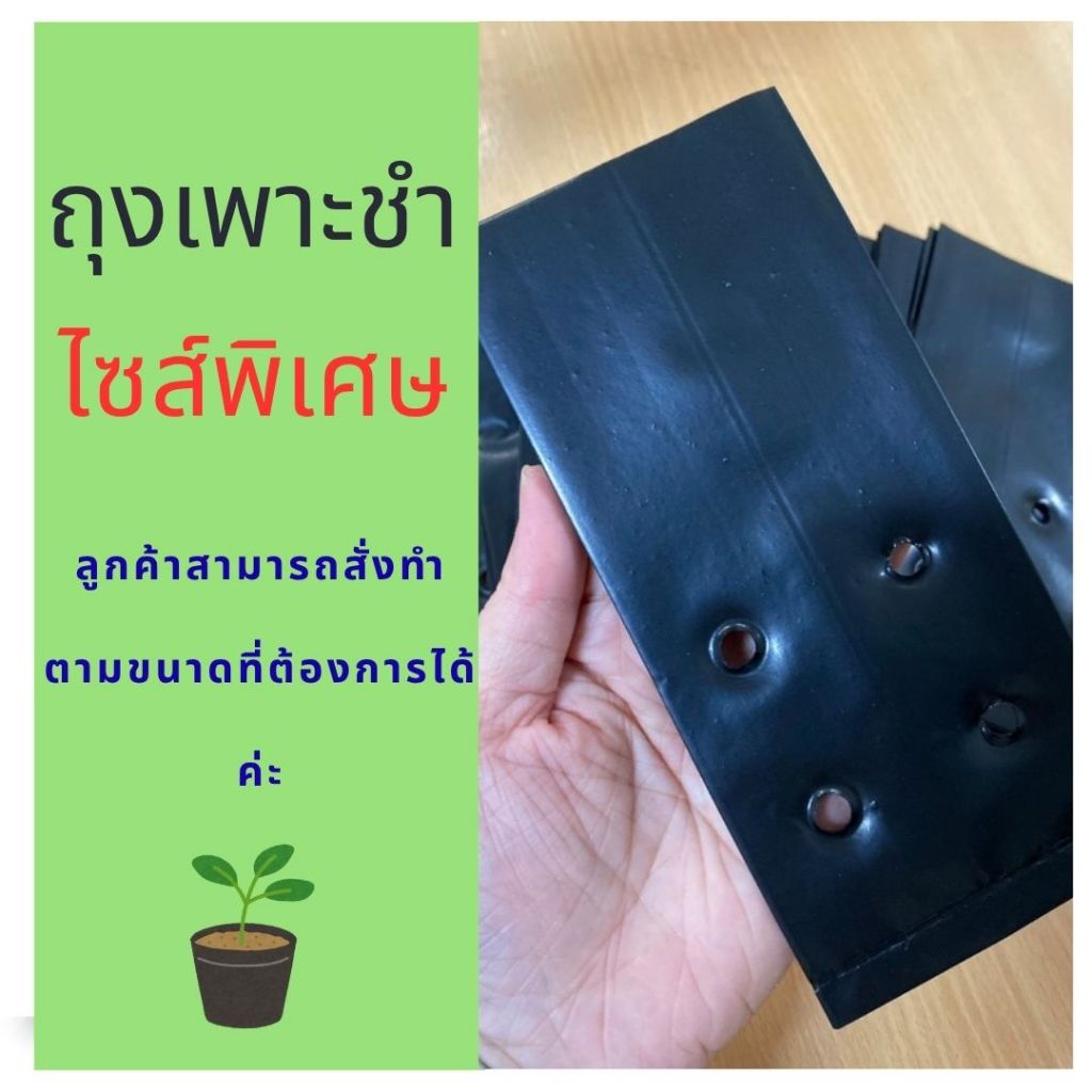 (ไซส์พิเศษ) ราคาถุกที่สุด! สั่งทำไซส์ ถุงเพาะชำ ถุงเพาะต้นกล้า ถุงเพาะปลูก 1 KG