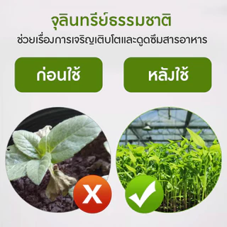 ปรับสภาพดินให้ร่วนซุย แก้ดินแข็ง ดินแน่น ฟื้นฟูดิน จุลินทรีย์บำรุงดิน อูเมะไลฟ์ บำรุงดิน 100 กรัม.