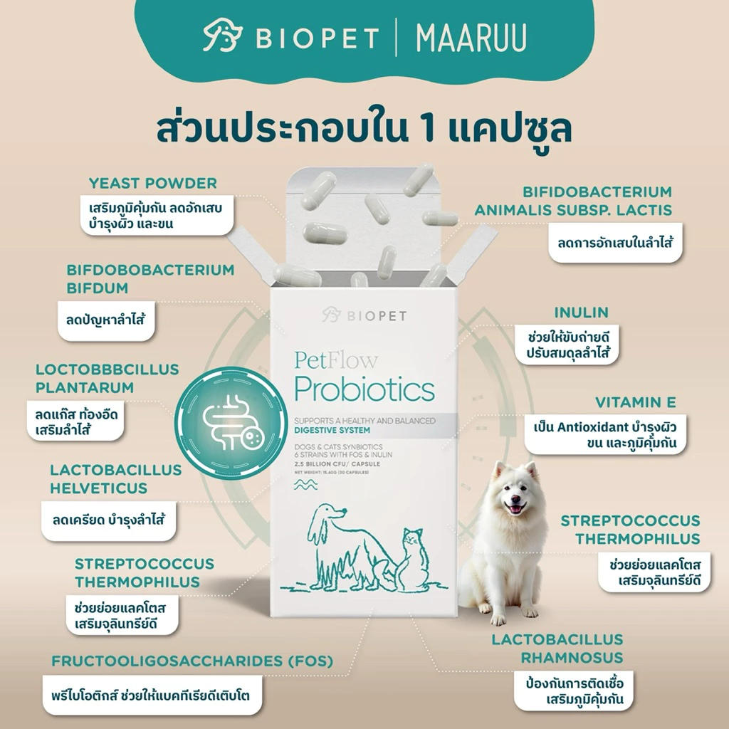 Biopet PetFlow Probiotics  สูตร Digestive ปรับสมดุลลำไส้ ลดท้องเสีย ลดกลิ่นอุจจาระ โพรไบโอติกส์สำหรับสัตวเลี้ยง หมา แมว thumbnail 3