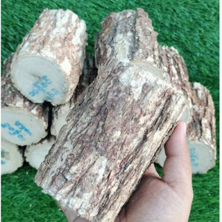 ไม้ทานาคาแห้ง 1pcs ของแท้จากMyanmar 100% คุณภาพสูง สำหรับการ…