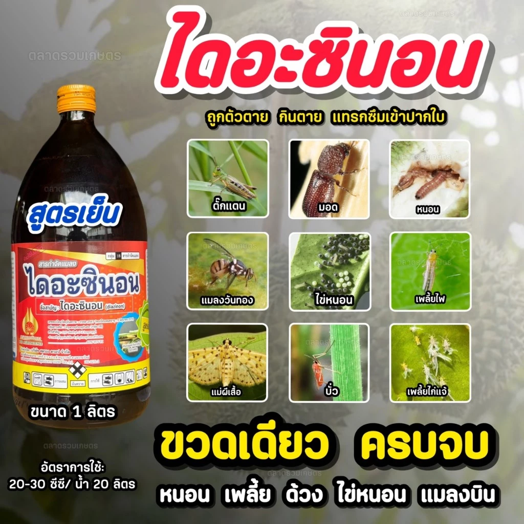 ไดอะซินอน 60 (สูตรเย็น ขวดเดียวจบ) กำจัดแมลง หนอน มด บั่ว เพลี้ยอ่อน เพลี้ยไฟ เพลี้ยหอย แมลงวันทอง แมลงบิน 1 ลิตรตราไบโอ
