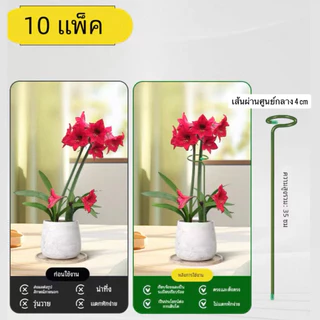 ไม้ค้ำต้นไม้ เหล็กค้ำยัน ต้นไม้ ดอกไม้ ช่วยพยุงลำต้นได้ดี ขนาดรอบวง 4.0cm (แพ็ค5,10 ชิ้น)