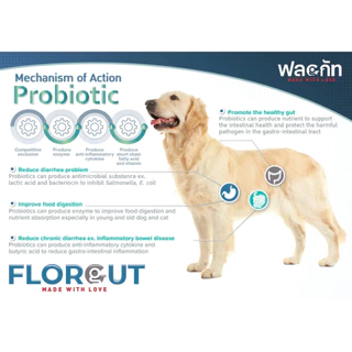 FLORGUT (ฟลอกัท) อาหารเสริมพรีไบโอติกและโพรไบโอติก ปรับสมดุลลำไส้ ลดปัญหาท้องเสีย สำหรับในสุนัขและแมว 30 แคปซูล