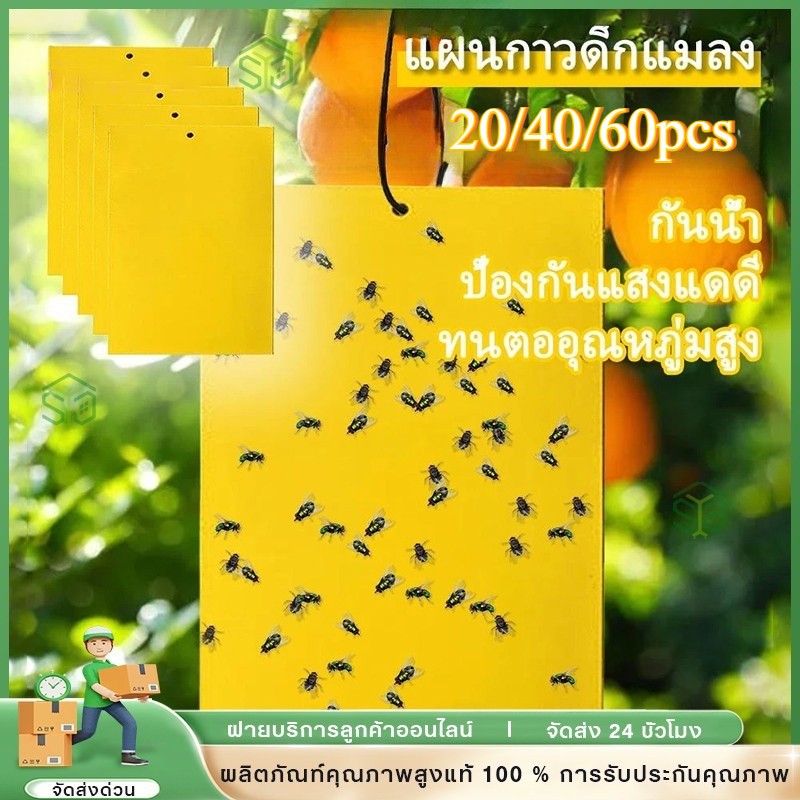 50/100/200 แผ่น สีเหลือง แผ่นกาวดักแมลงขนาด 20x10 ซม. กาวเหนียว 2 ด้าน สำหรับดักแมลงวันทอง แมลงศัตรูพืช​ต่างๆ