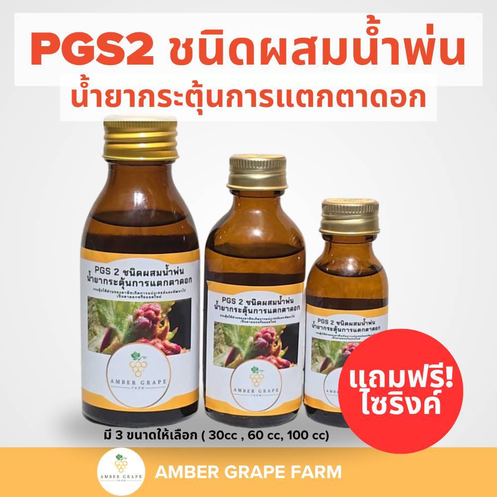 Amber grape farm น้ำยากระตุ้นตาดอกPGS2 ชนิดพ่น กระตุ้นตาดอก ตาแก่ กระต้นการแตกตาหลังพรุนกิ่ง