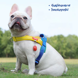 สายรัดอกสุนัข สายรัดสุนัขสะท้อนแสง เสื้อรัดอกหมา สะท้อนแสง เสื้อกั๊กสัตว์เลี้ยง ระบายความร้อน สามารถปรับได้ ส่งของในไทย