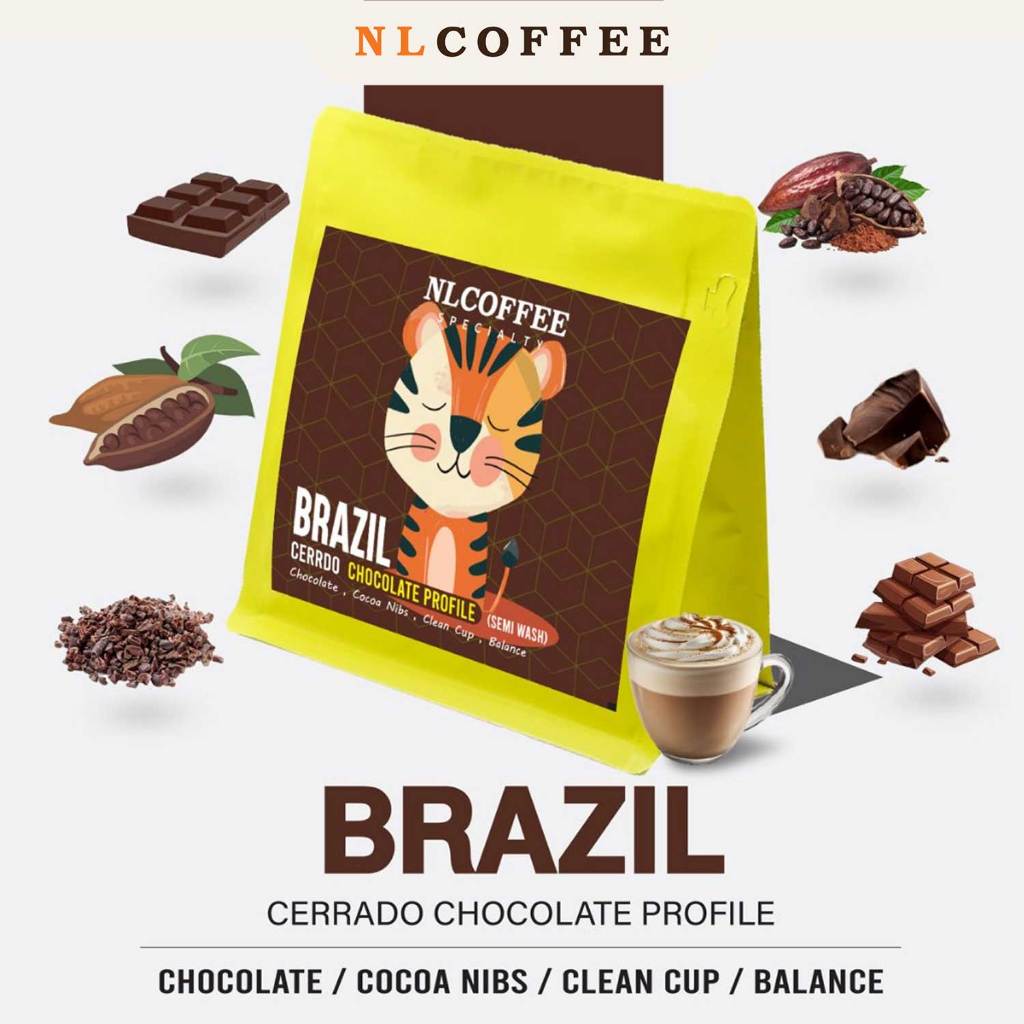NLCOFFEE SPECIALTY เมล็ดกาแฟ Brazil  - Chocolate Profile