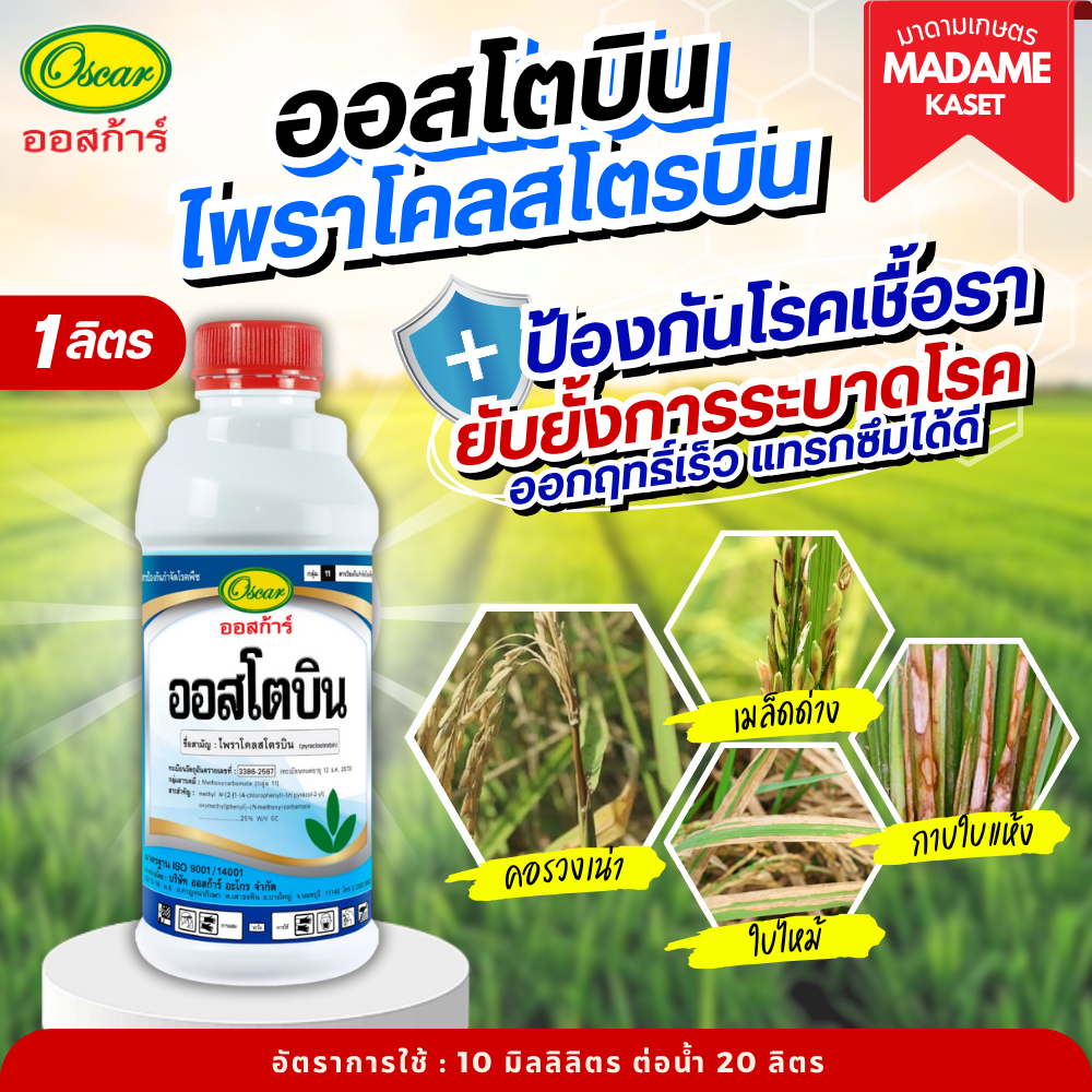 ใหม่! ออสโตบิน (ไพราโคลสโตรบิน) ขนาด 1 ลิตร ป้องกันและกำจัดเชื้อราในพืช เช่น เน่าคอรวง เมล็ดด่าง กาบใบแห้ง โรคใบไหม้ – โปรปัง
