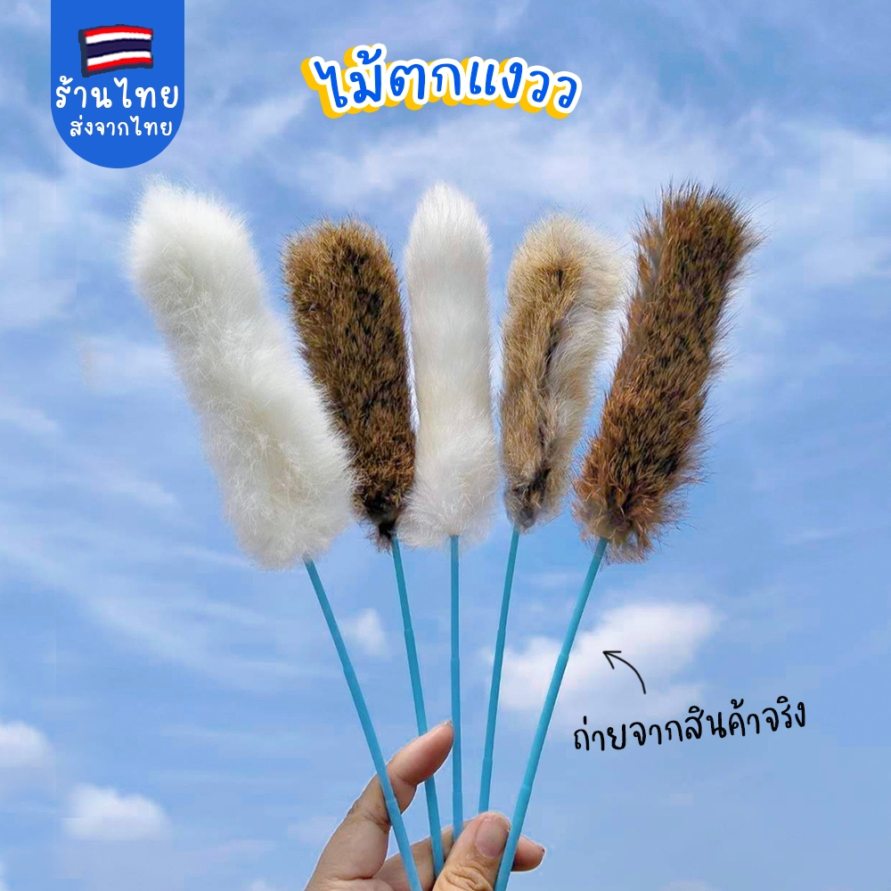 ไม้ตกแมวหางกระต่าย ไม้ตกแมวหางกระรอก ของเล่นแมว ไม้แมว ไม้ล่อแมว