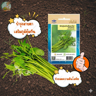 ผักบุ้งแก้วเย็นตาโฟ CT/OP-077 ตรา เจียไต๋ เมล็ดพันธุ์ผัก เมล…