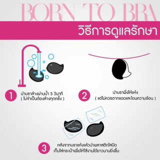 BORN TO BRA บราปีกนก (ไม่มีกระเป๋าบรา)