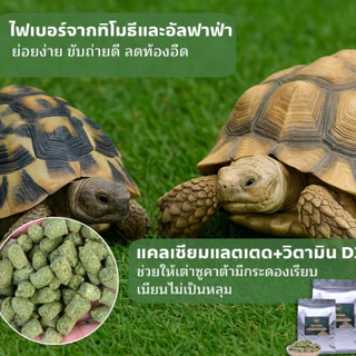 อารหารเต่าบก King Turtle ยกกระสอบ แบบคุ้มสุดๆ