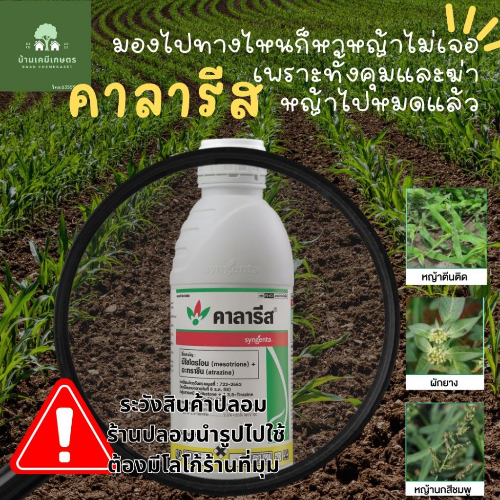 คาลารีส ยาฆ่าหญ้าในไร่ข้าวโพด 1L