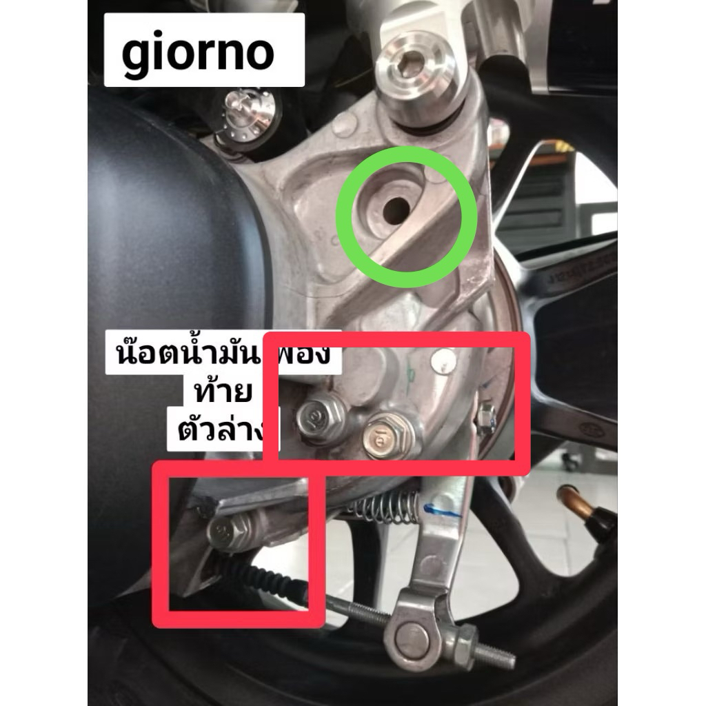 น๊อตน้ำมันเฟืองท้าย Giorno, pcx 2018,2019 pcx150,pcx160,abs