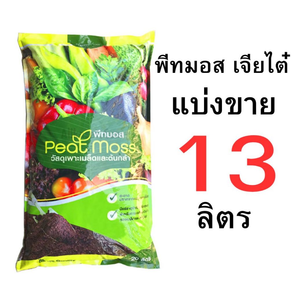 รูปภาพ 9