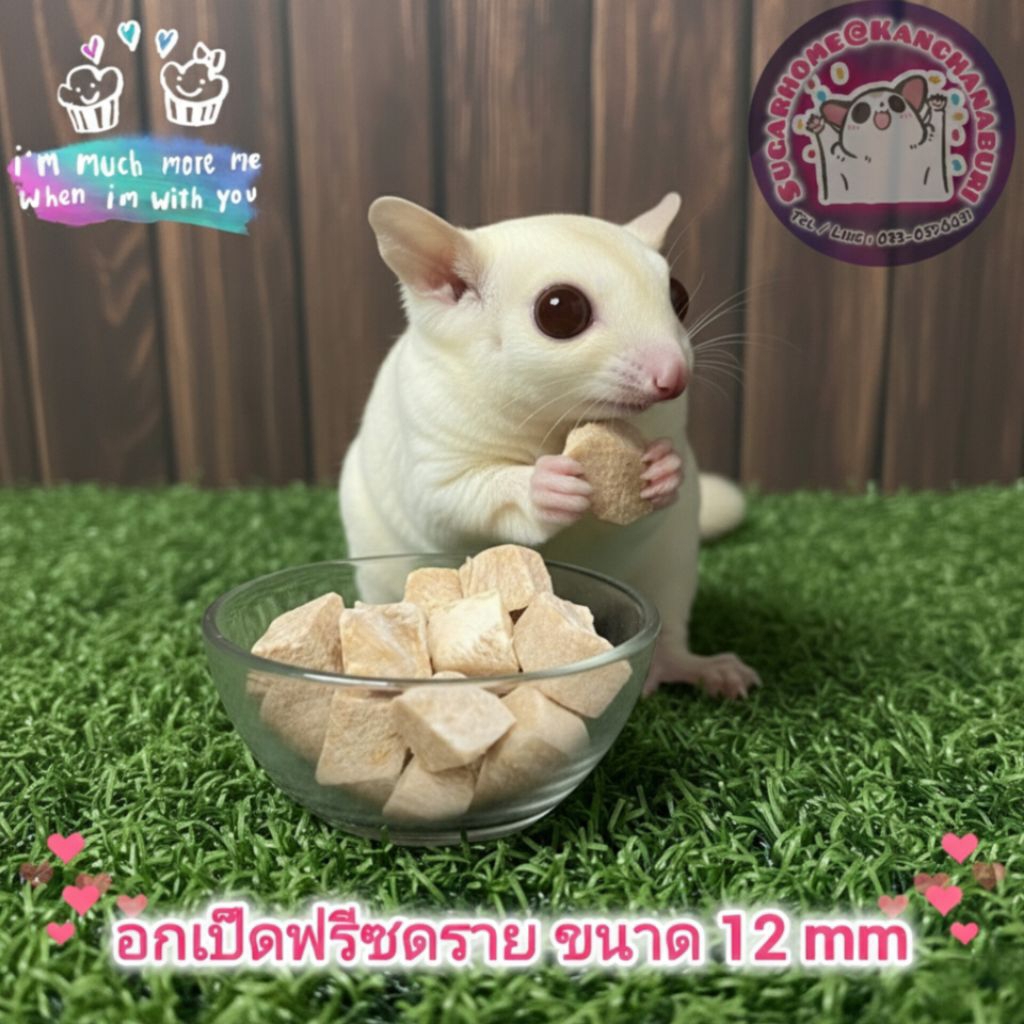 อกเป็ดฟรีซดราย ขนาด 12 mm สำหรับสัตว์เลี้ยง