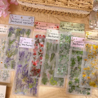 [พร้อมส่ง] DIY สติ๊กเกอร์ 6PC/ชุด ดอกไม้ ใบไม้ เดซี่ กุหลาบ ขอบใส กันน้ำ Daisy Rose Flower PET Clear Transparent Sticker