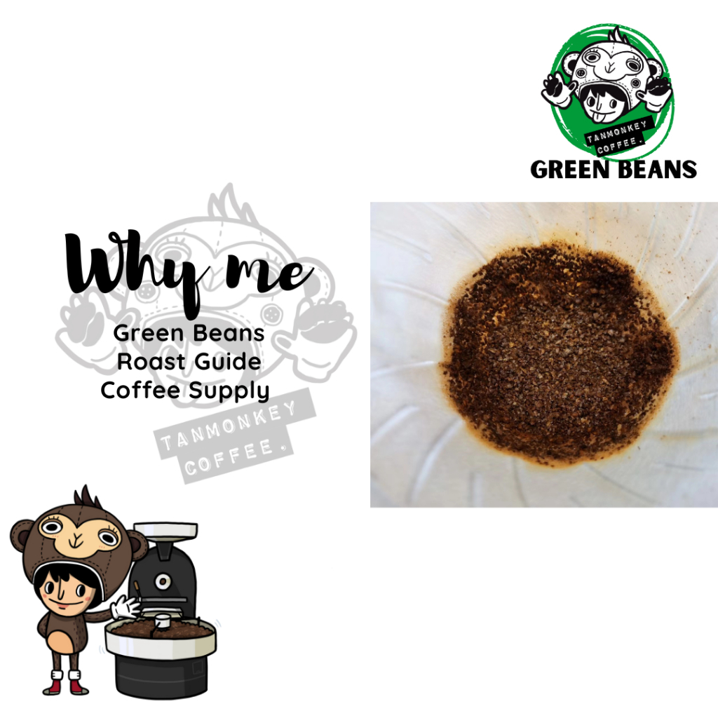 สารเมล็ดกาแฟ Doi Chang Crop 2025-2026 ขนาด 5kg - รูปที่ 4