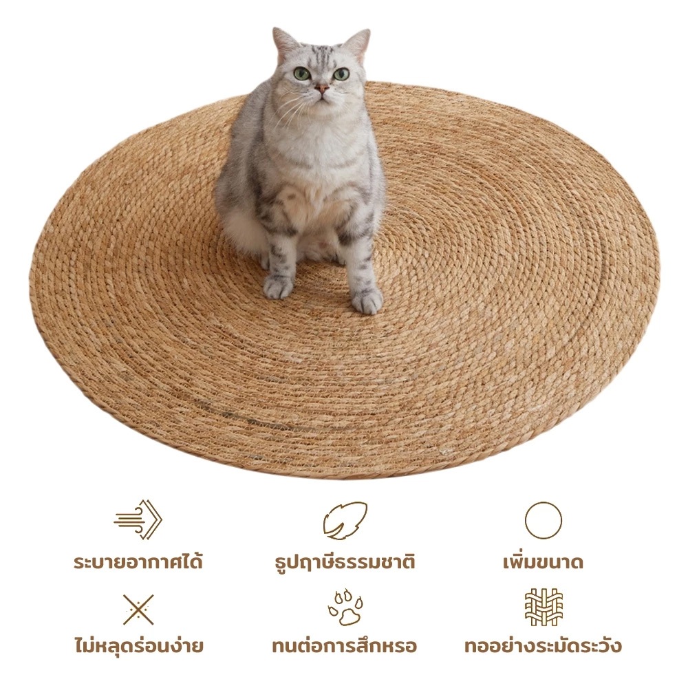 แผ่นลับเล็บแมว 3In1🌿มีหญ้าแมว ถักทอจากหวาย  พรมแมว ของเล่นแมว ที่นอนแมว กันข่วน วงกลมพรมลับเล็บแมว - รูปที่ 5