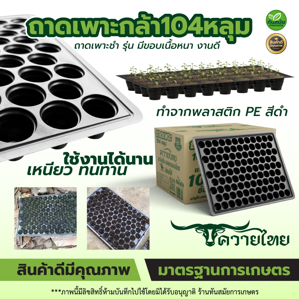 ถาดเพาะ 104หลุม (ยกลัง100ใบ) ถาดเพาะกล้า หนา ทนทาน ใช้เพาะปลูกได้หลายรุ่น เพาะปลูกต้นกล้า พร้อมส่ง