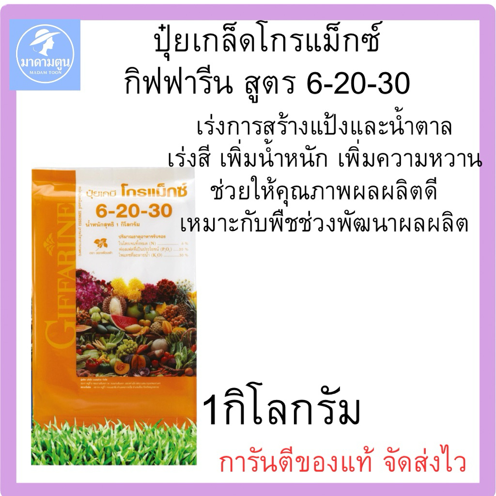 ปุ๋ย ปุ๋ยเกล็ด โกรแม็กซ์ กิฟฟารีน 6-20-30 เพิ่มความหวาน และขนาด