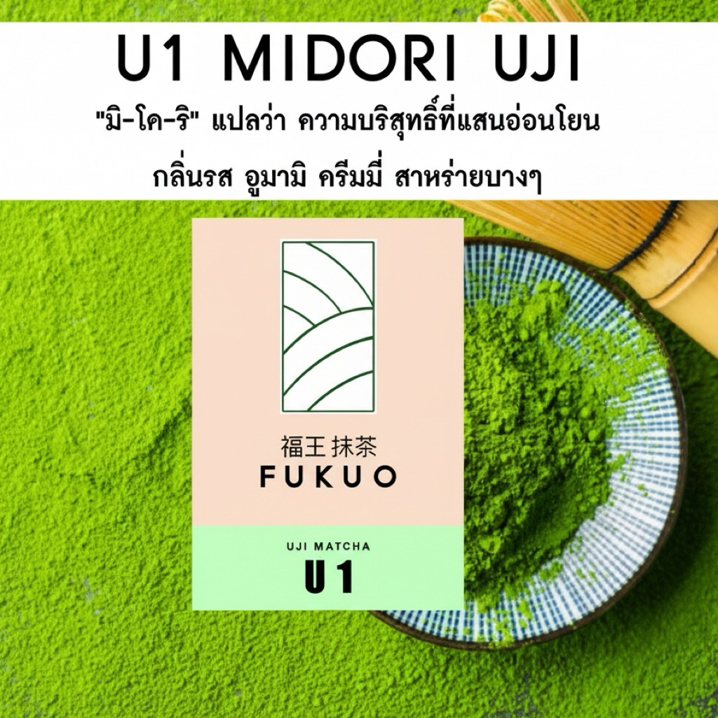 มัทฉะ (Fukuo) U1 MIDORI UJI Matcha มัทฉะญี่ปุ่น เกรดพิธีชงชา Ceremonial grade