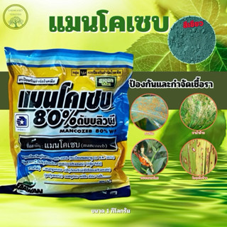 แมนโคเซบ80% เนื้อสีเขียว ผสมซิงค์ สารป้องกันนกำจัดโรคพืช เช่…