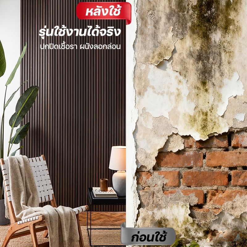 【สีใหม่ขึ้นชั้นแล้ว】