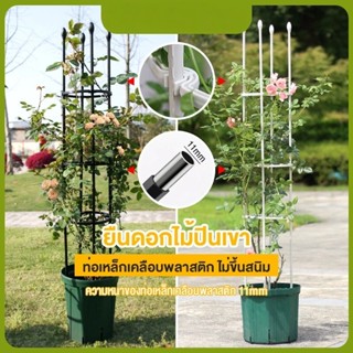 4 ขนาด ซุ้มไม้เลื้อย กุหลาบ โครง ระแนง ท่อเหล็กเคลือบ PE กัน…