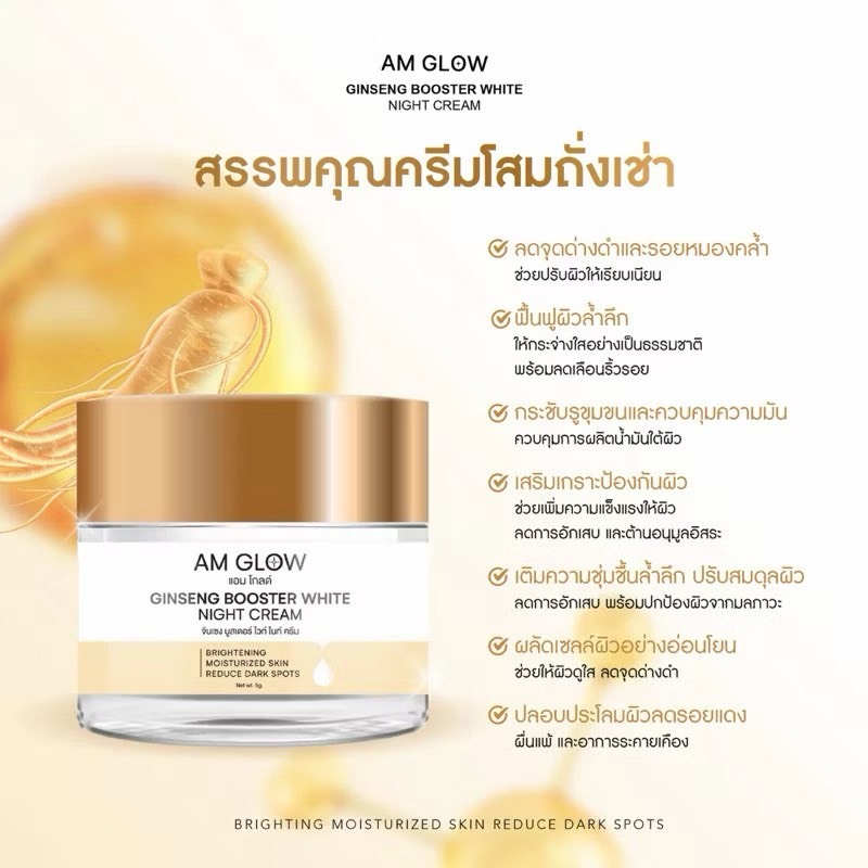 AM Glow ครีมโสมหน้าใสเบียดรูขุมขน Ginseng Hya Vitamin Night Cream สูตรเข้มข้น ผิวกระชับ หน้าขาวใส