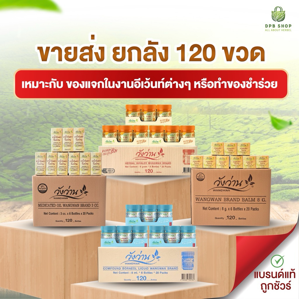 วังว่านยกลัง 120 ขวด [กดเลือก] ทำของชำรวย/ของฝาก/ทำบุญ/นำไปขายปลีก