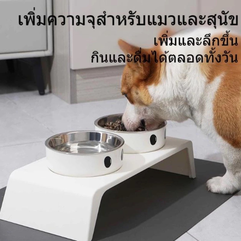 ชามแมว จานข้าวแมว ชามสุนัข จานอาหารแมว 304สแตนเลสชามแมวคู่ 8.5cm ยกสูง ฐานกันลื่น รูปที่ 4
