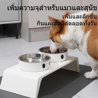 ชามแมว 2 หลุม จานข้าวแมว ชามสุนัข จานอาหารแมว สแตนเลสชามแมวคู่ 8.5cm ยกสูง ฐานกันลื่น