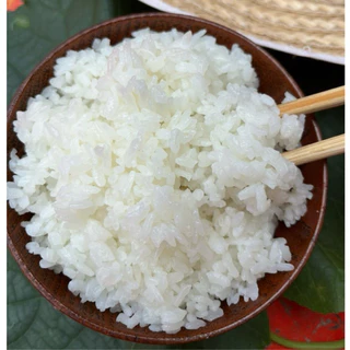 ข้าวญีปุ่นแท้เกรดพรีเมียม ✨เหนียวนุ่ม อร่อย | ปั้นซูชิสวย🍱✨(5Kg./10Kg./15Kg.) 🍙