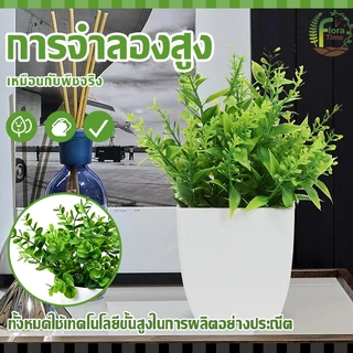 บอนไซเทียม ไม้ประดับ ดีไซน์โมเดิร์น ขนาดเล็ก สําหรับตกแต่งบ้าน สวน โต๊ะรับประทานอาหาร ห้องนอน