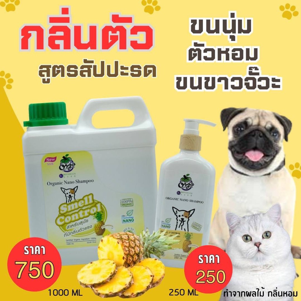 กลิ่นสาบสุนัขแมว แชมพูดับกลิ่นเหม็นกลิ่นตัวแรงสูตรสับปะรดขนนุ่มตัวหอม