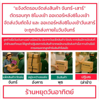 เกรดBกล้วยไม้ตัดช่อสกุลหวายเกรดB ตกแต่งสถานที่/ร้อยมาลัย/คาเฟ่/ร้านอาหาร จำนวน1กิโลกรัม