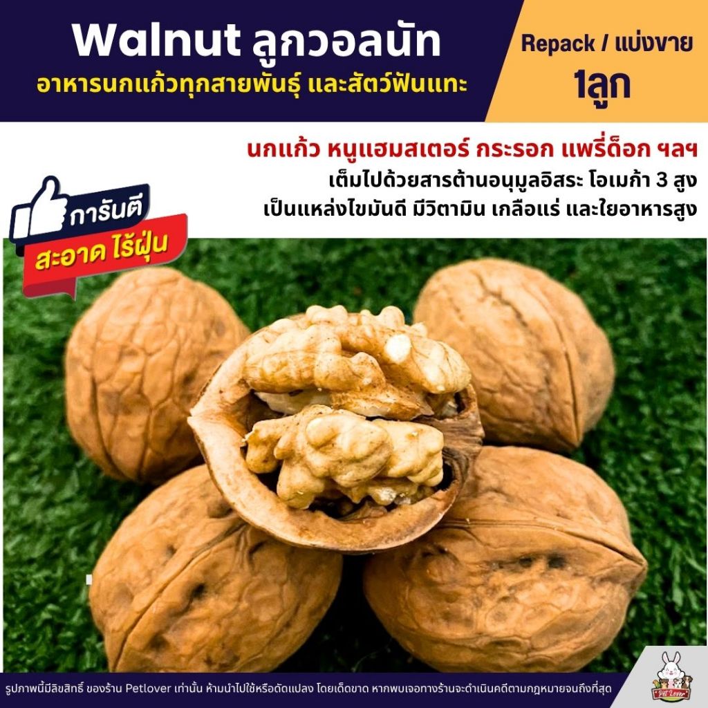 วอลนัท Walnut อาหารนกแก้ว ชูก้าร์ แฮมสเตอร์ กระรอก แพรี่ด็อก สัตว์ฟันแทะทุกชนิด ( 1ลูก / 10แถม 1)
