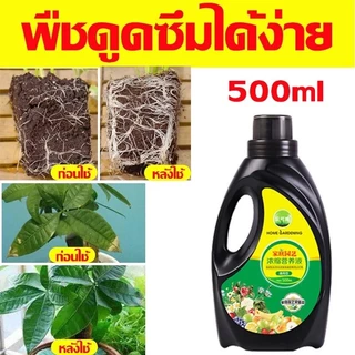 น้ำยาเร่งรากด่วน ปริมาณ 500ml เร่งโต รากเดิน บำรุงดิน ธรรมชาติ น้ำยาเร่งราก B1เร่งรากเห็นผลไว เพิ่มพื้นที่ผิวราก ลดการใช