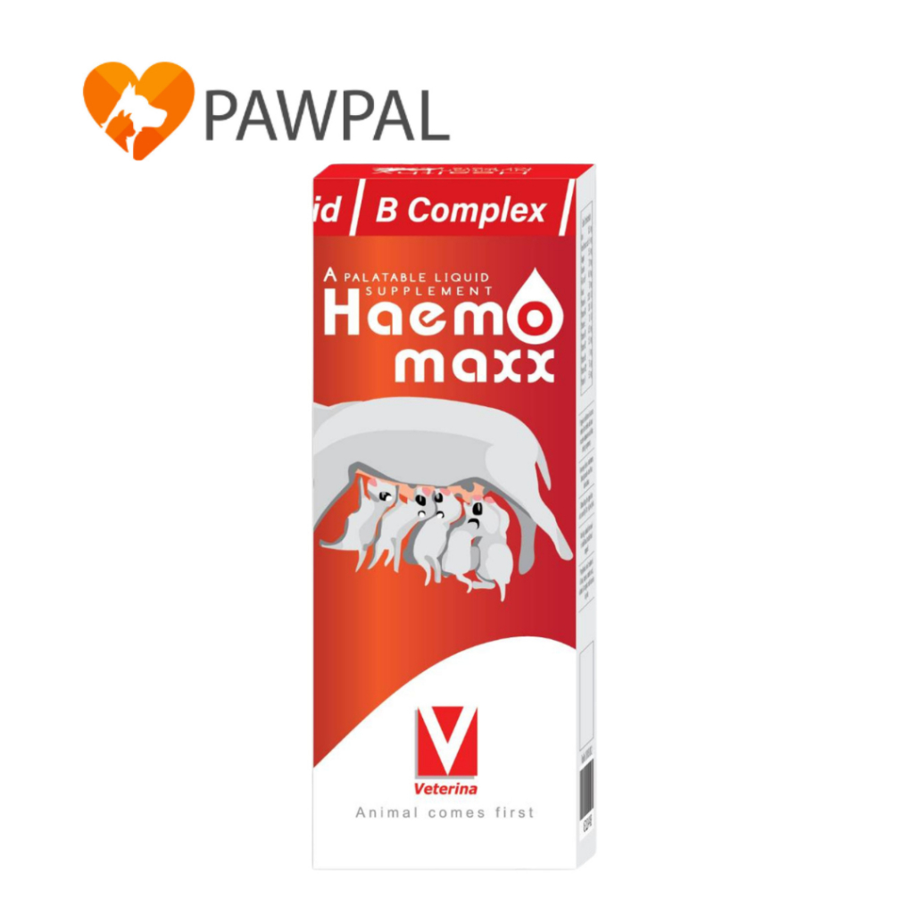 Haemomaxx 100 ml🔥Exp.11/2027 Haemomax วิตามิน บำรุงเลือด ธาตุเหล็ก โลหิตจาง ลูกสุนัข ลูกแมว แม่สุนัขหลังคลอดลูก ให้นมลูก