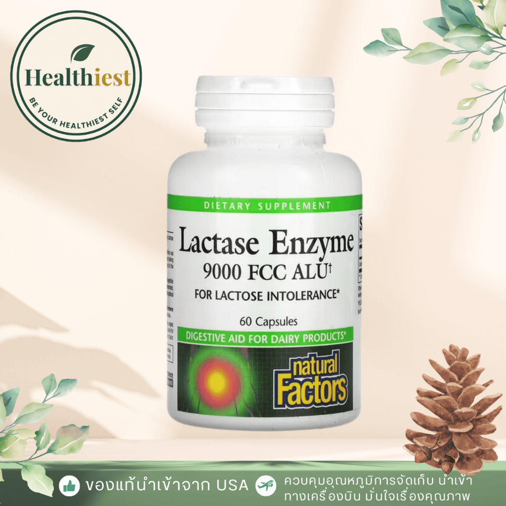 พร้อมส่ง Natural Factors Lactase Enzyme 9,000 FCC ALU 60 Capsules เอนไซม์ย่อยนม ย่อยเวย์โปรตีน